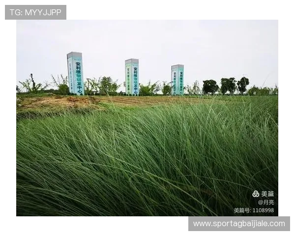 云顶集团有限公司的社会责任与可持续发展实践案例研究